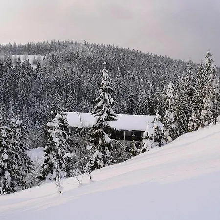 Apartment In Haidmuehle With Balcony Or Terrace Haidmühle